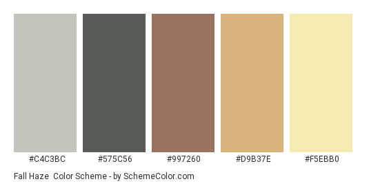 Fall Haze - Color scheme palette thumbnail - #C4C3BC #575C56 #997260 #D9B37E #F5EBB0 