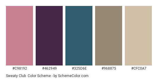 Sweaty Club - Color scheme palette thumbnail - #C98192 #462949 #325D6E #968875 #CFC0A7 