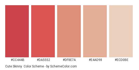 Cute Skinny - Color scheme palette thumbnail - #CC444B #DA5552 #DF8E7A #E4AD98 #ECD0BE 
