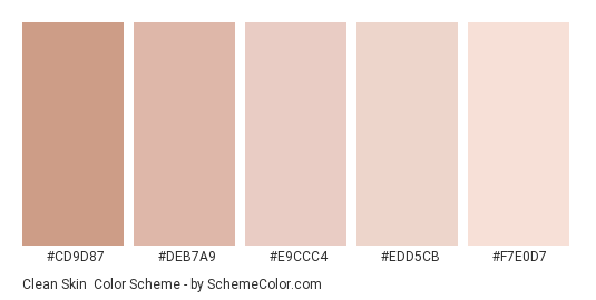 Clean Skin - Color scheme palette thumbnail - #CD9D87 #DEB7A9 #E9CCC4 #EDD5CB #F7E0D7 