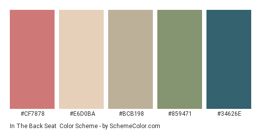 In the Back Seat - Color scheme palette thumbnail - #CF7878 #E6D0BA #BCB198 #859471 #34626E 