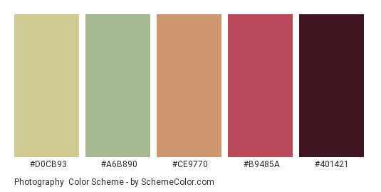 Photography - Color scheme palette thumbnail - #D0CB93 #A6B890 #CE9770 #B9485A #401421 