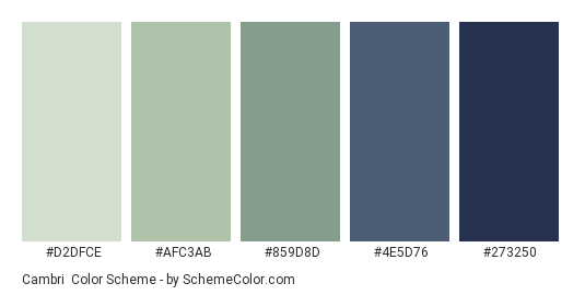 Cambri - Color scheme palette thumbnail - #D2DFCE #AFC3AB #859D8D #4E5D76 #273250 
