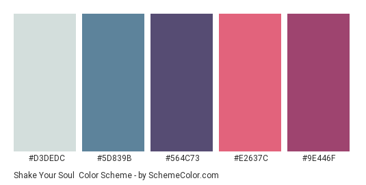 Shake Your Soul - Color scheme palette thumbnail - #D3DEDC #5D839B #564C73 #E2637C #9E446F 