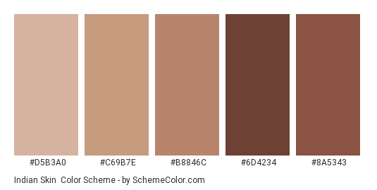 Indian Skin - Color scheme palette thumbnail - #D5B3A0 #C69B7E #B8846C #6D4234 #8A5343 