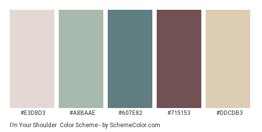 I’m Your Shoulder - Color scheme palette thumbnail - #E3D8D3 #A8BAAE #607E82 #715153 #DDCDB3 