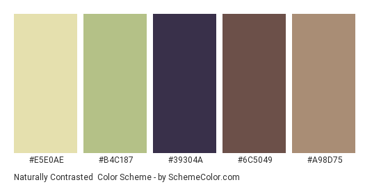 Naturally Contrasted - Color scheme palette thumbnail - #E5E0AE #B4C187 #39304A #6C5049 #A98D75 