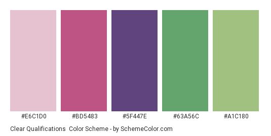 Clear Qualifications - Color scheme palette thumbnail - #E6C1D0 #BD5483 #5F447E #63a56c #a1c180 