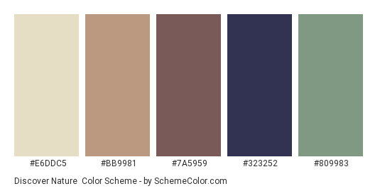 Discover Nature - Color scheme palette thumbnail - #E6DDC5 #BB9981 #7A5959 #323252 #809983 