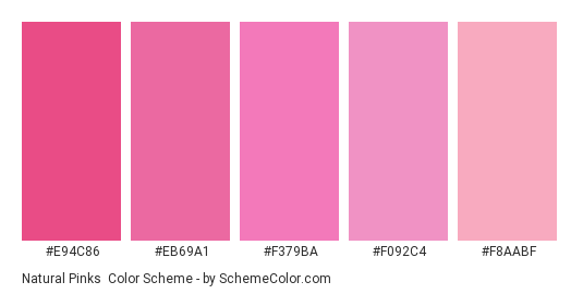 Natural Pinks - Color scheme palette thumbnail - #E94C86 #EB69A1 #F379BA #F092C4 #F8AABF 