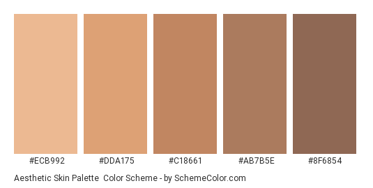 Aesthetic Skin Palette - Color scheme palette thumbnail - #ECB992 #DDA175 #C18661 #AB7B5E #8F6854 