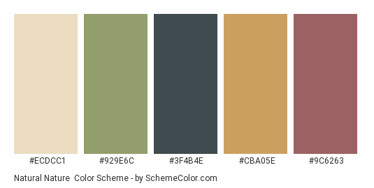 Natural Nature - Color scheme palette thumbnail - #ECDCC1 #929E6C #3F4B4E #CBA05E #9C6263 