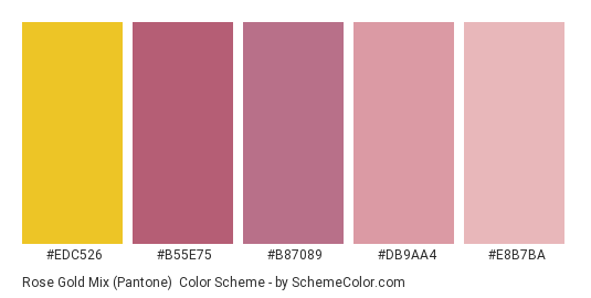 Rose Gold Mix (Pantone) - Color scheme palette thumbnail - #EDC526 #B55E75 #B87089 #DB9AA4 #E8B7BA 
