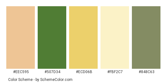 Green Relaxing Interiors - Color scheme palette thumbnail - #EEC595 #507D34 #ECD06B #FBF2C7 #848C63 