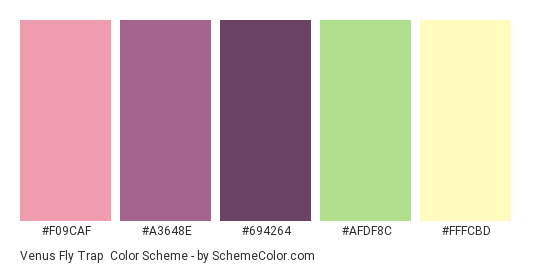 Venus Fly Trap - Color scheme palette thumbnail - #F09CAF #A3648E #694264 #AFDF8C #FFFCBD 