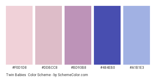 Twin Babies - Color scheme palette thumbnail - #F0D1D8 #DDBCC8 #BD93B8 #484EB0 #A1B1E3 
