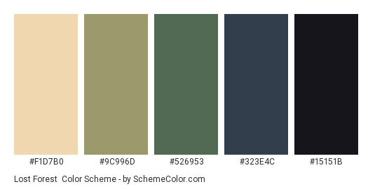 Lost Forest - Color scheme palette thumbnail - #F1D7B0 #9C996D #526953 #323E4C #15151B 