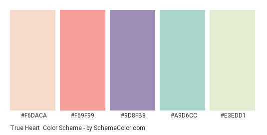 True Heart - Color scheme palette thumbnail - #F6DACA #F69F99 #9D8FB8 #A9D6CC #E3EDD1 