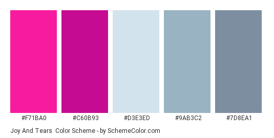 Joy and Tears - Color scheme palette thumbnail - #F71BA0 #C60B93 #D3E3ED #9AB3C2 #7D8EA1 