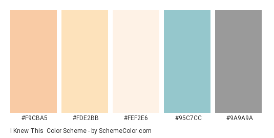 I Knew This - Color scheme palette thumbnail - #F9CBA5 #FDE2BB #FEF2E6 #95C7CC #9A9A9A 