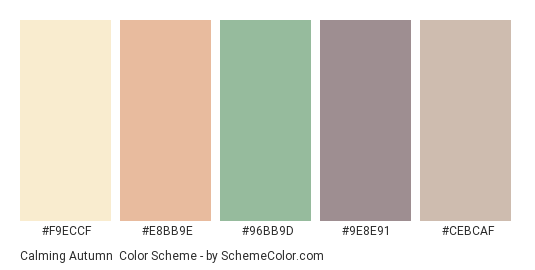 Calming Autumn - Color scheme palette thumbnail - #F9ECCF #E8BB9E #96BB9D #9E8E91 #CEBCAF 