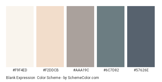 Blank Expression - Color scheme palette thumbnail - #F9F4ED #F2DDCB #AAA19C #6C7D82 #57626E 