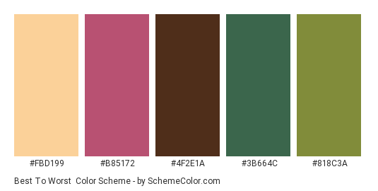 Best to Worst - Color scheme palette thumbnail - #FBD199 #B85172 #4F2E1A #3B664C #818C3A 