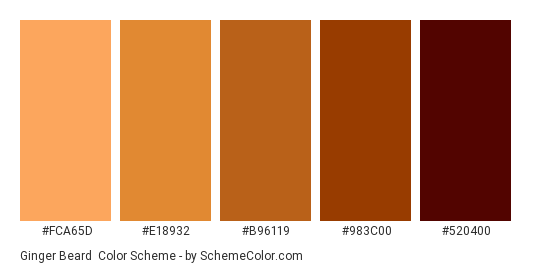 Ginger Beard - Color scheme palette thumbnail - #FCA65D #E18932 #B96119 #983C00 #520400 