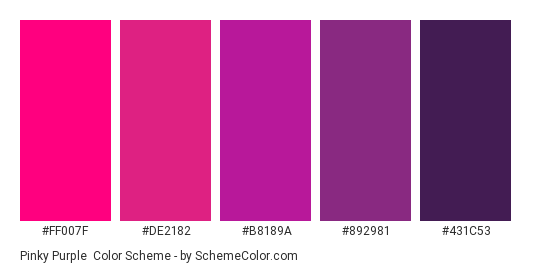 Pinky Purple - Color scheme palette thumbnail - #FF007F #DE2182 #B8189A #892981 #431C53 