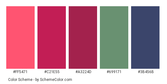 Rose Day (Valentine) - Color scheme palette thumbnail - #FF5471 #C21E55 #A3224D #699171 #3B456B 