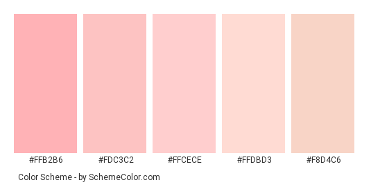 Baby Skin Tone - Color scheme palette thumbnail - #FFB2B6 #FDC3C2 #FFCECE #FFDBD3 #F8D4C6 