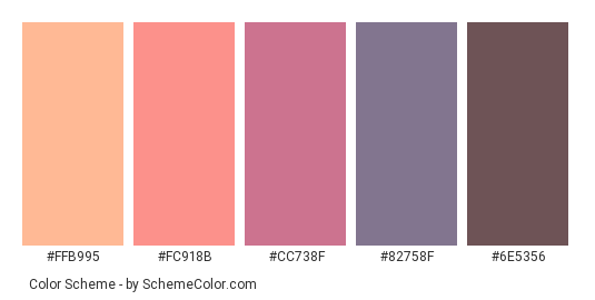 Fog Sun Set Over Mountain - Color scheme palette thumbnail - #FFB995 #FC918B #CC738F #82758F #6E5356 