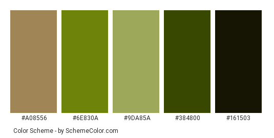 Kiwi fruit - Color scheme palette thumbnail - #a08556 #6e830a #9da85a #384800 #161503 