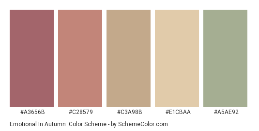 Emotional in Autumn - Color scheme palette thumbnail - #a3656b #c28579 #c3a98b #e1cbaa #a5ae92 