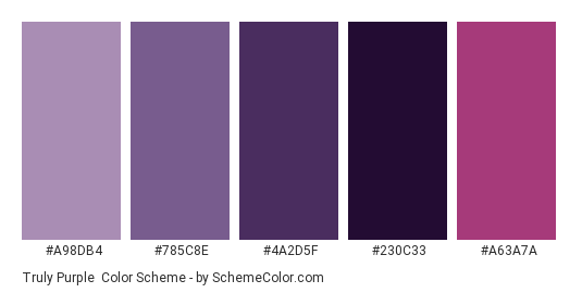 Truly Purple - Color scheme palette thumbnail - #a98db4 #785c8e #4a2d5f #230c33 #a63a7a 