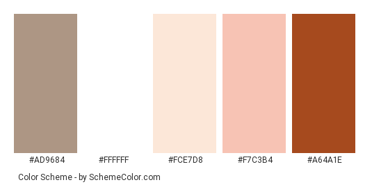 American Mortgage Home - Color scheme palette thumbnail - #ad9684 #ffffff #fce7d8 #f7c3b4 #a64a1e 