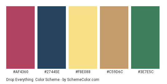 Drop Everything - Color scheme palette thumbnail - #af4360 #27445e #f8e088 #c59d6c #3e7e5c 