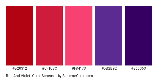 Red and Violet - Color scheme palette thumbnail - #b20312 #cf1c3c #f84173 #5b2b92 #360063 