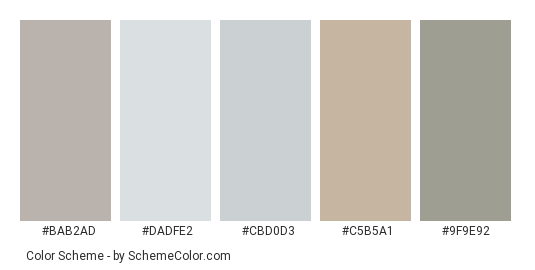 Blank Frame - Color scheme palette thumbnail - #bab2ad #dadfe2 #cbd0d3 #c5b5a1 #9f9e92 