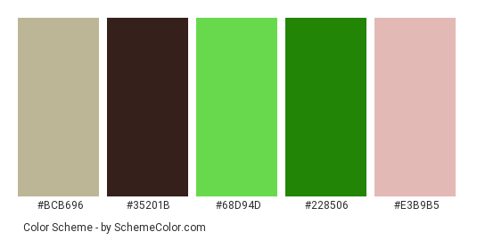 Seedling free - Color scheme palette thumbnail - #bcb696 #35201b #68d94d #228506 #e3b9b5 