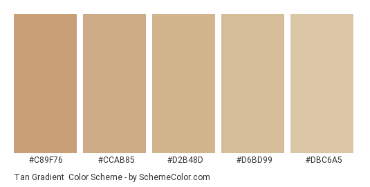 Tan Gradient - Color scheme palette thumbnail - #c89f76 #ccab85 #D2B48D #D6BD99 #DBC6A5 