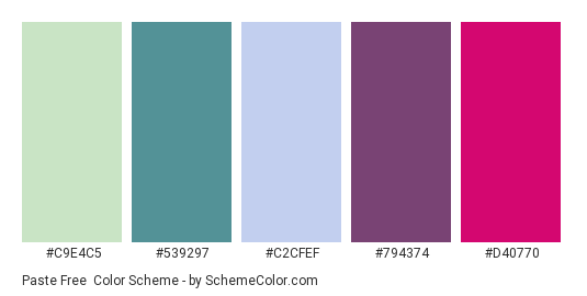Paste free - Color scheme palette thumbnail - #c9e4c5 #539297 #c2cfef #794374 #d40770 
