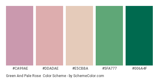 Green and Pale Rose - Color scheme palette thumbnail - #ca99ae #ddadae #e5cbba #5FA777 #006A4F 