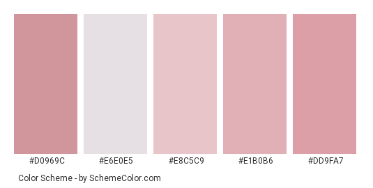 Soft Satin - Color scheme palette thumbnail - #d0969c #e6e0e5 #e8c5c9 #e1b0b6 #dd9fa7 