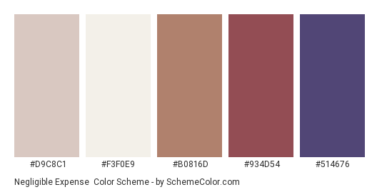 Negligible Expense - Color scheme palette thumbnail - #d9c8c1 #f3f0e9 #b0816d #934d54 #514676 