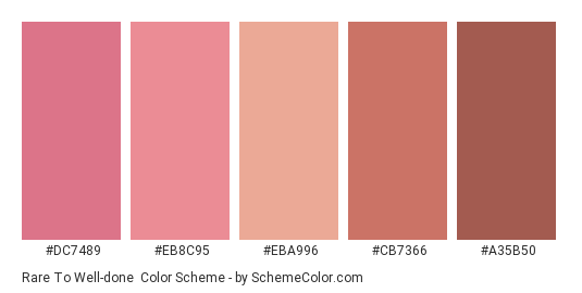 Rare to Well-done - Color scheme palette thumbnail - #dc7489 #eb8c95 #eba996 #cb7366 #a35b50 