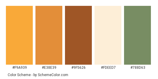 Orange and Herbs - Color scheme palette thumbnail - #f9a939 #e38e39 #9f5626 #fdeed7 #788d63 