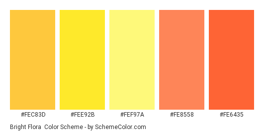 Bright Flora - Color scheme palette thumbnail - #fec83d #fee92b #fef97a #fe8558 #fe6435 