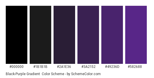 Black-Purple Gradient - Color scheme palette thumbnail - #000000 #1B1B1B #2A1E36 #3A2152 #49236D #582688 
