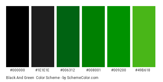 Black and Green - Color scheme palette thumbnail - #000000 #1e1e1e #006312 #008001 #009200 #49b618 